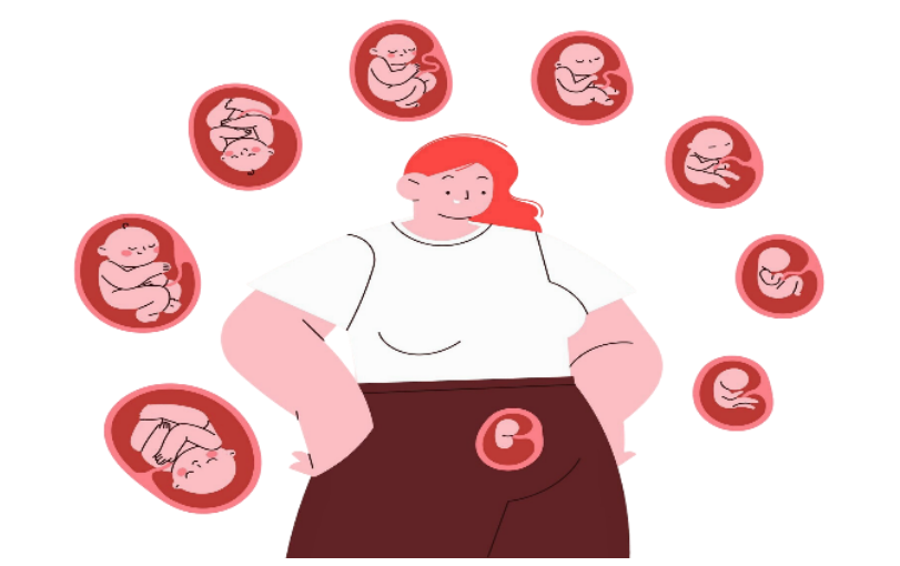 Infográfico de desenvolvimento fetal