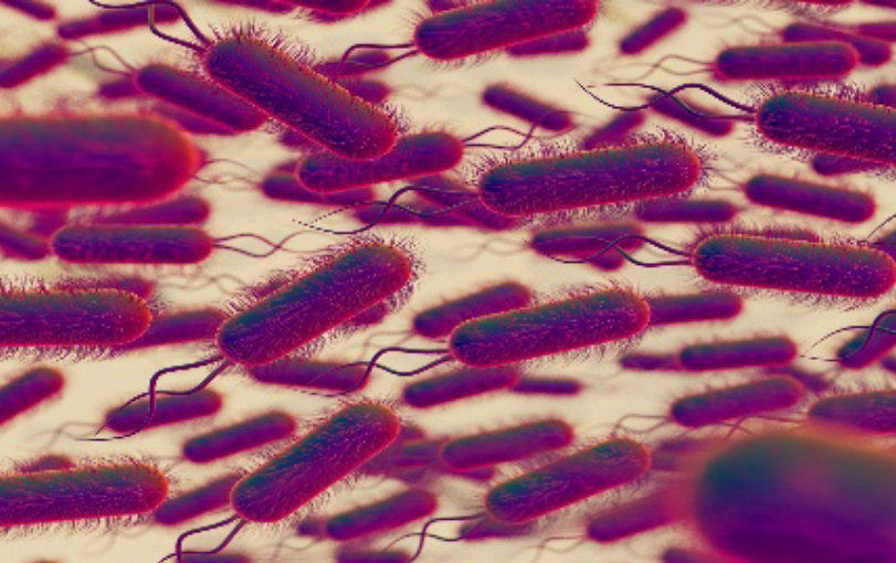 Representação 3D de patógenos microscópicos da E. coli 