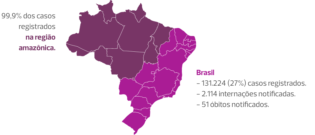Infográfico