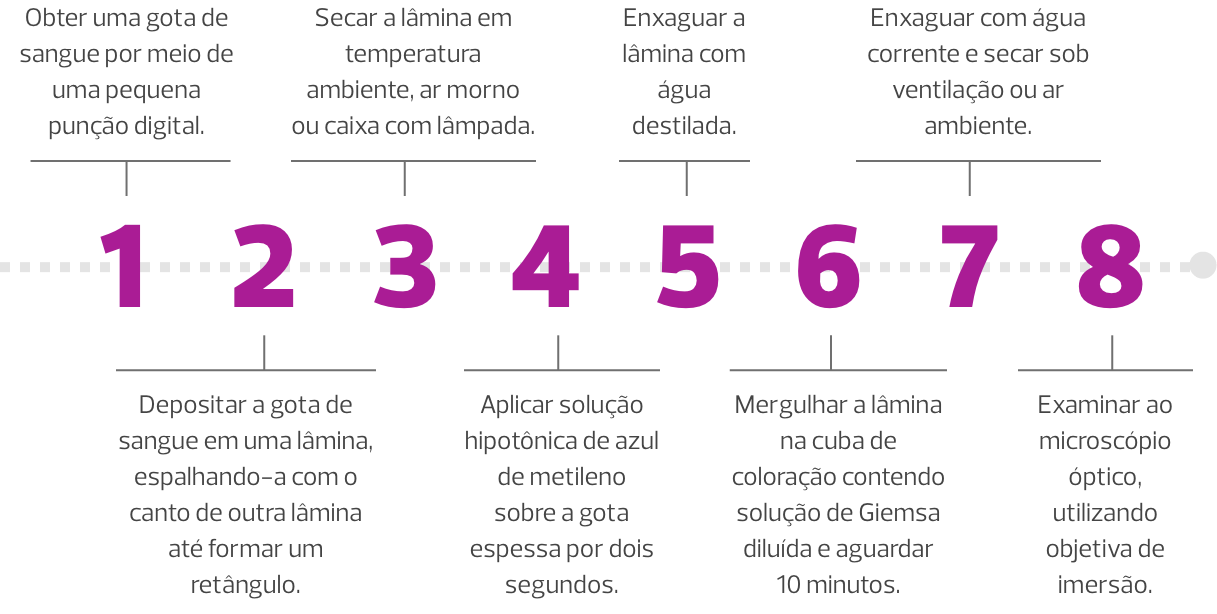 Fluxograma do exame da gota