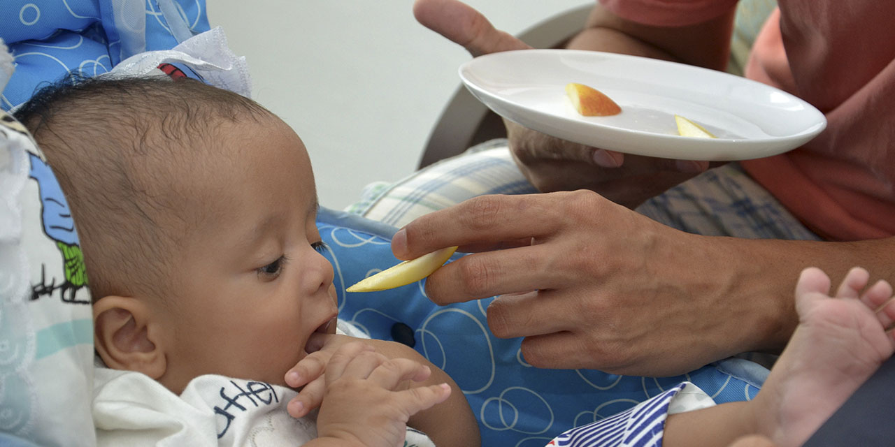 Fotografia de um bebê sendo alimentado com um pedaço de maçã por um adulto.