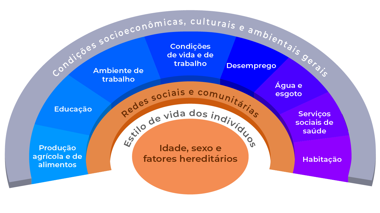 Infográfico com representação esquemática dos determinantes sociais de saúde.