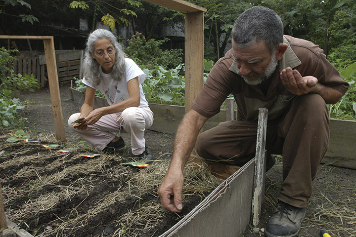 Fotografia de pessoas manejando o cultivo de agricultura em dimensão familiar em uma horta.