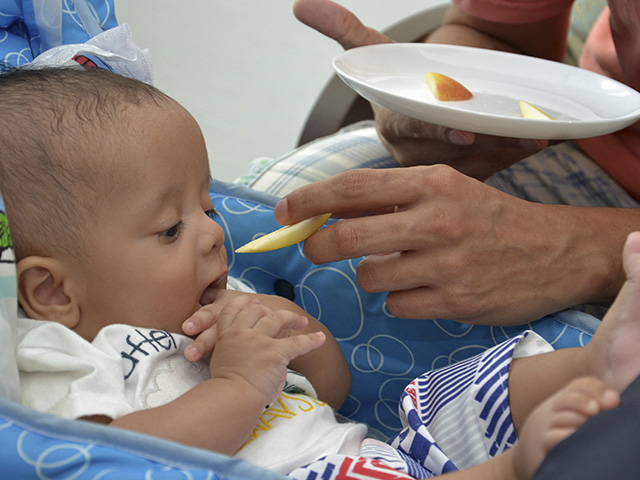 Fotografia de um bebê sendo alimentado com um pedaço de maçã por um adulto.