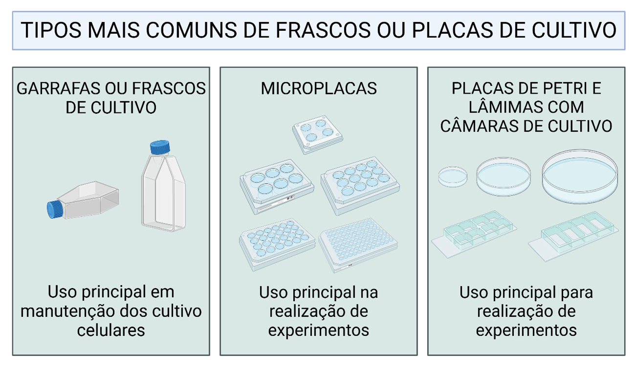 Infográfico sobre tipos de frascos e placas de cultivo celular: garrafas, microplacas, placas de Petri e lâminas com câmaras.