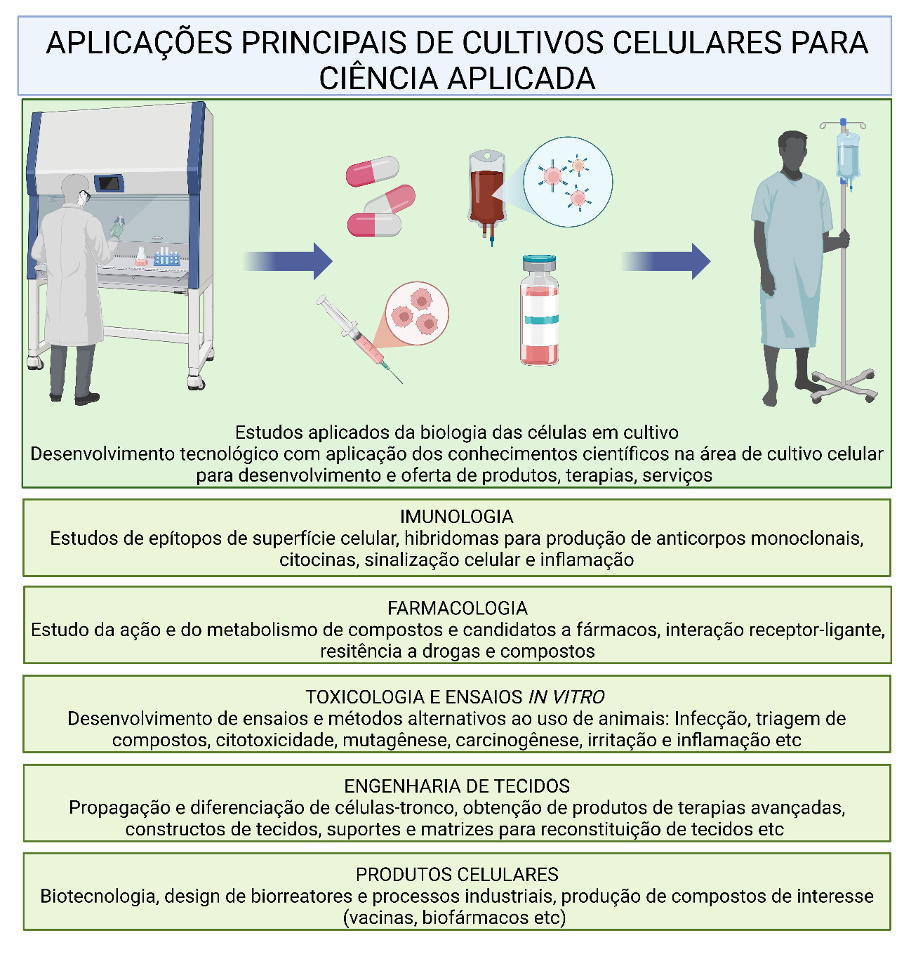 Infográfico sobre aplicações da cultura de células na ciência aplicada, incluindo imunologia, farmacologia, toxicologia e biotecnologia.