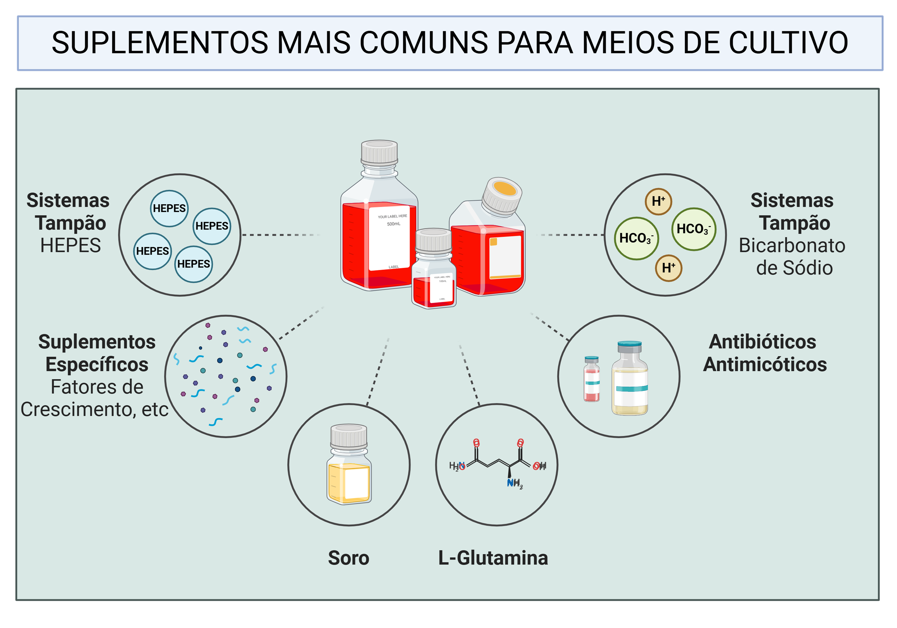 Esquema dos principais suplementos usados em meios de cultura celular, incluindo sistemas tampão, soro, L-glutamina e antibióticos.
