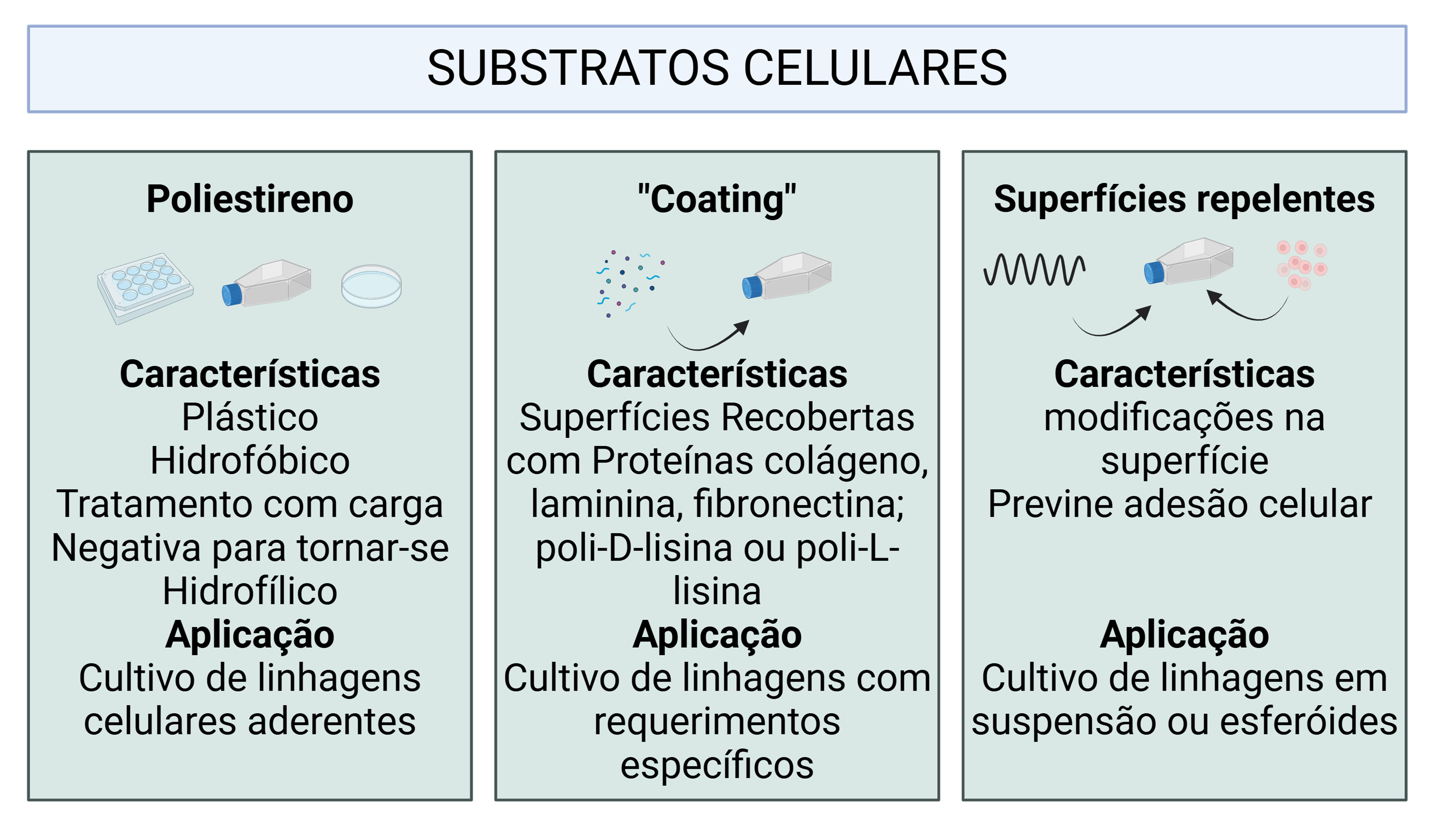 Esquema dos principais substratos celulares: poliestireno tratado, superfícies recobertas (coating) e superfícies repelentes.