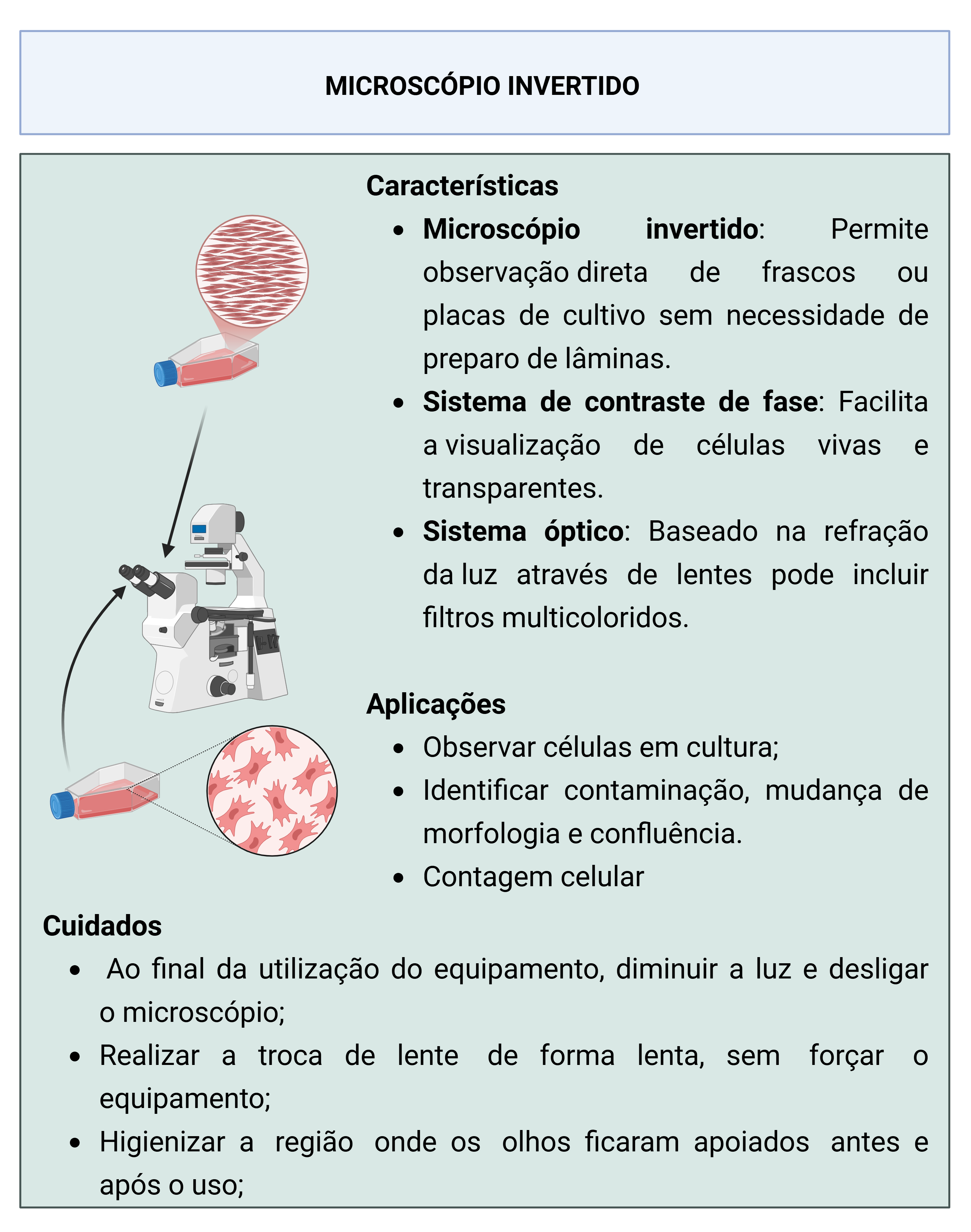 Infográfico sobre microscópio invertido, suas características, aplicações e cuidados no cultivo celular.