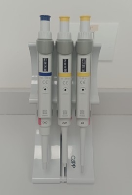 Três micropipetas monocanal em suporte, usadas para transferência precisa de líquidos em laboratório.