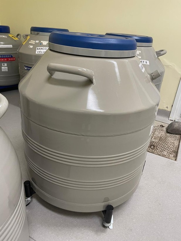 Container de nitrogenio líquido para armazenamento de amostras a -196°C.