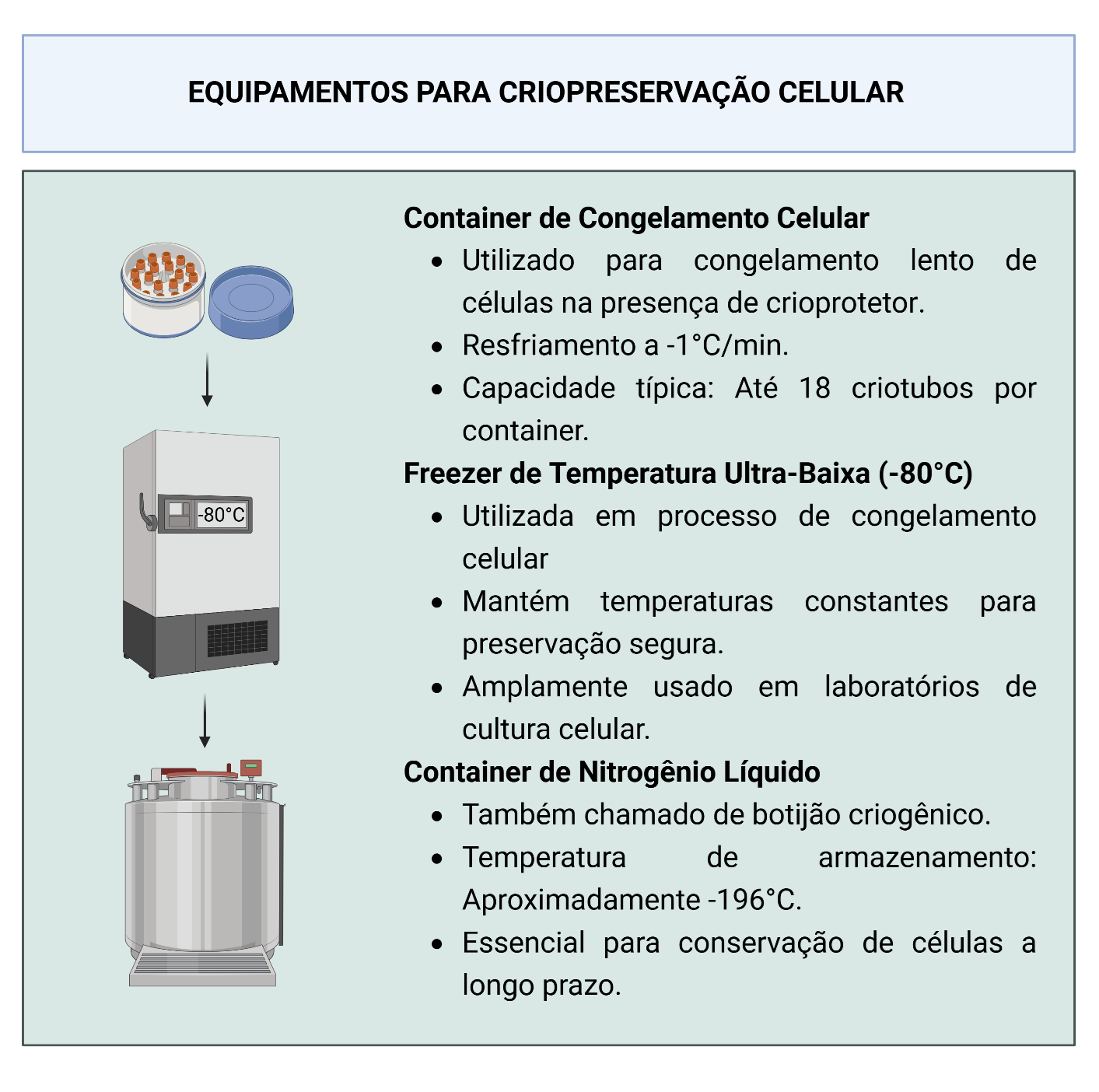Infográfico sobre container de congelamento celular, freezer de temperatura ultra-baixa e container de nitrogênio líquido.