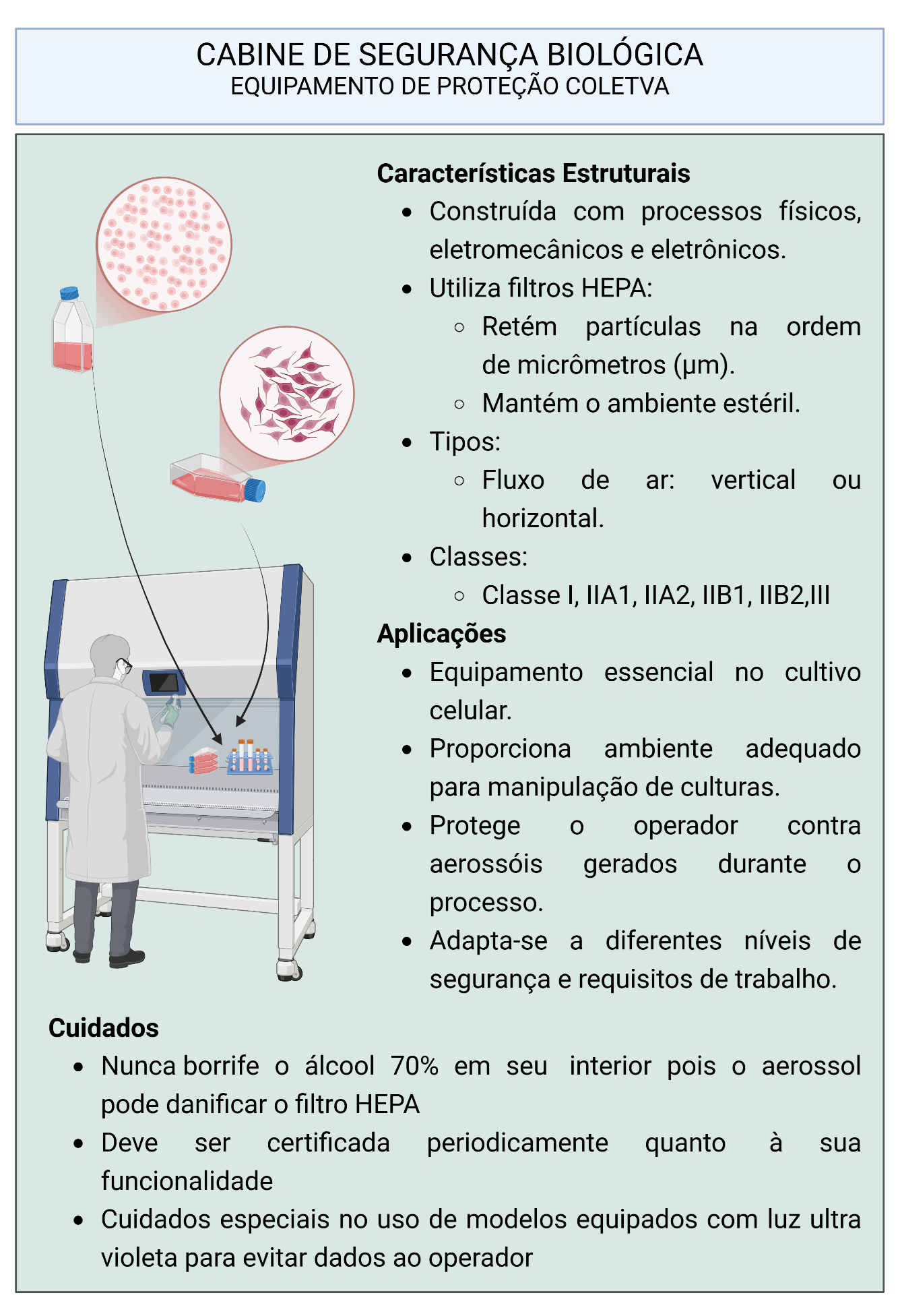 Infográfico sobre cabine de segurança biológica, suas características, aplicações e cuidados no cultivo celular.