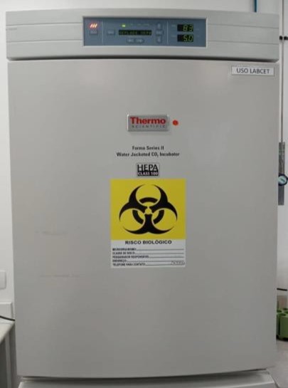 Incubadora de CO₂ para cultivo celular, com controle digital de temperatura e filtro HEPA.