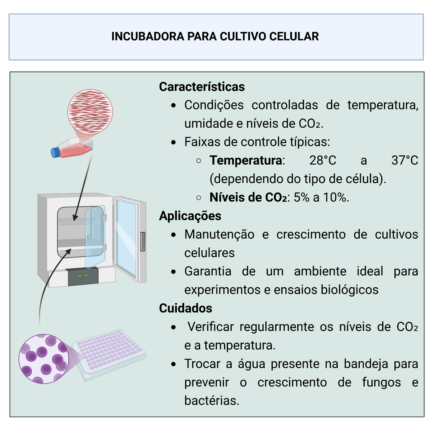 Infográfico sobre estufa de CO2, suas características, aplicações e cuidados no cultivo celular.
