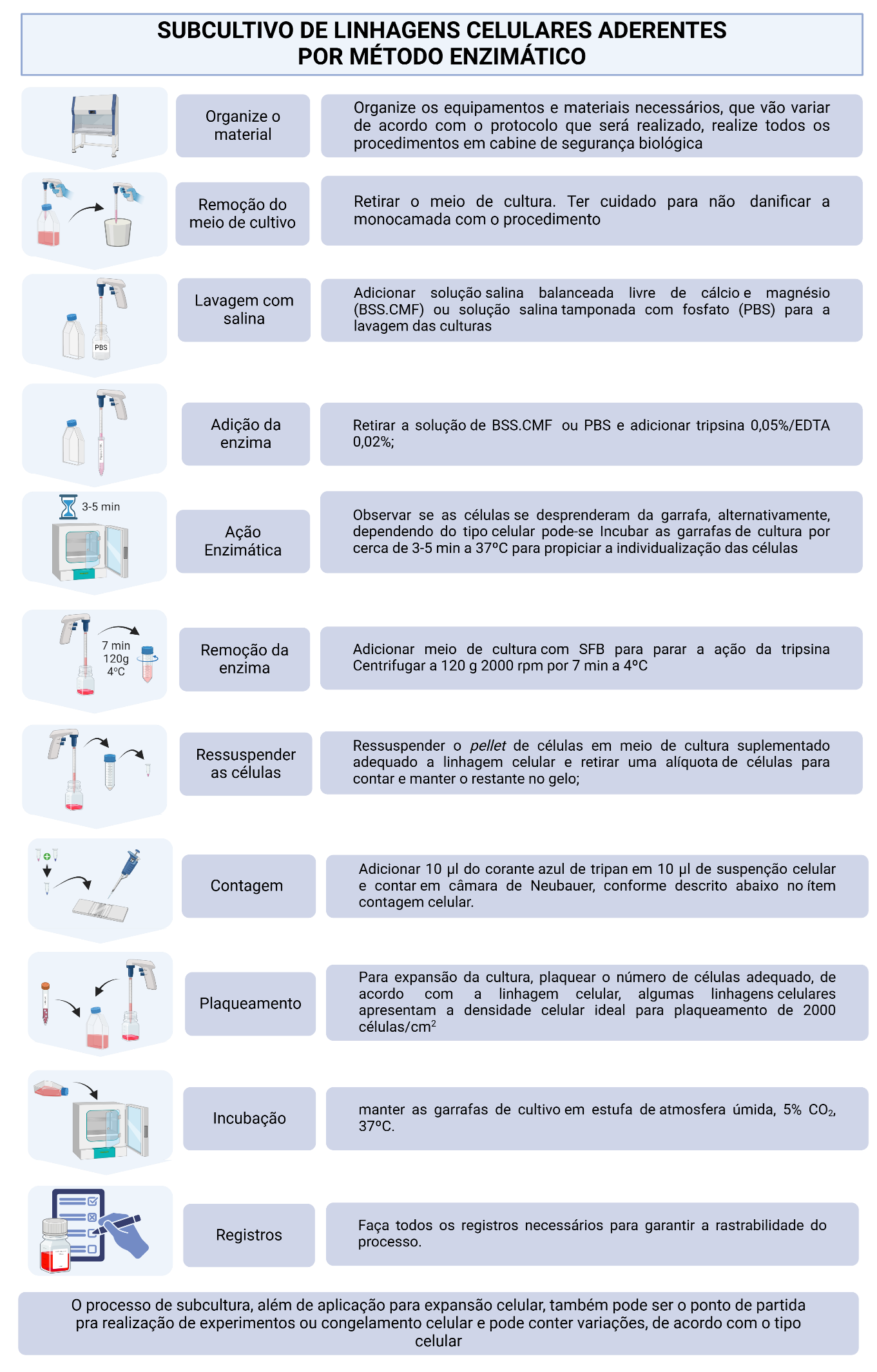 Esquema ilustrativo dos principais métodos de subcultura celular: mecânico, enzimático e por centrifugação de células suspensas.
