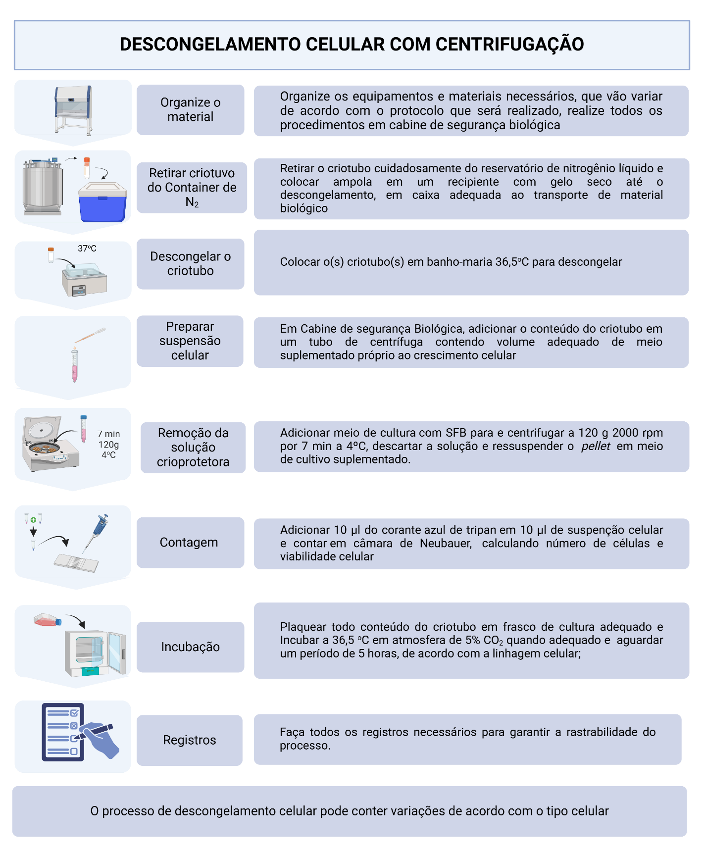 Esquema do descongelamento celular com centrifugação, remoção do crioprotetor e ressuspensão em meio de cultura suplementado