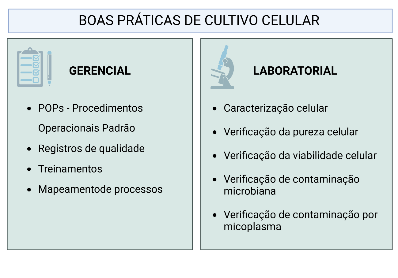 Esquema das boas práticas de cultivo celular, com procedimentos gerenciais e laboratoriais para garantir qualidade e rastreabilidade.