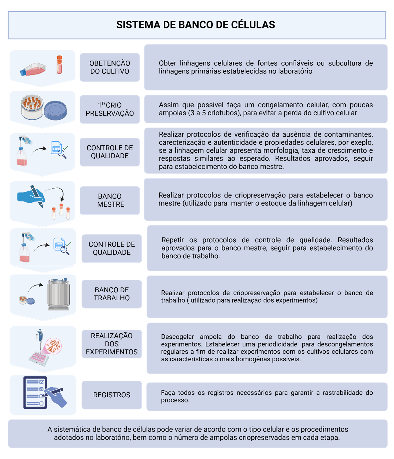 Fluxo de banco de células, desde obtenção da linhagem até criopreservação em banco mestre e banco de trabalho para experimentos