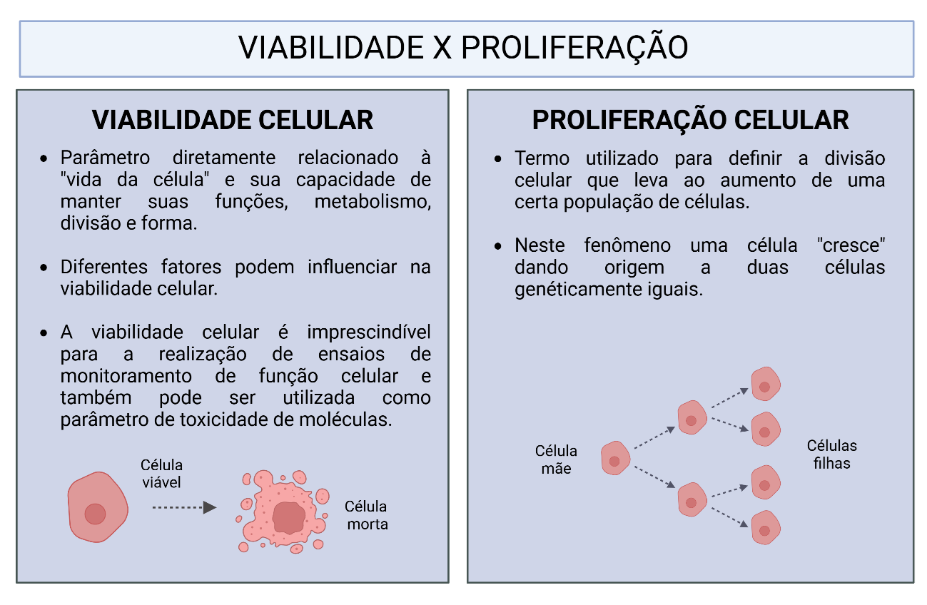 Quadro comparativo entre viabilidade celular e proliferação, destacando sua definição e importância para estudos celulares