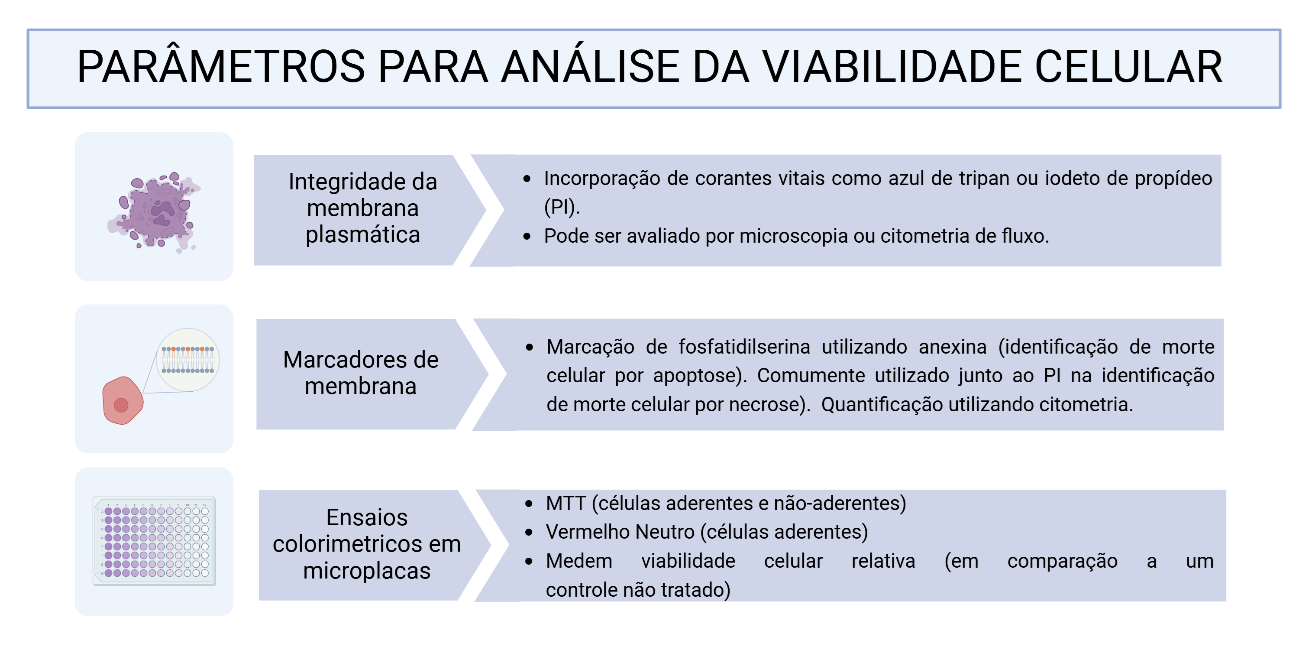 Métodos de análise da viabilidade celular incluem corantes vitais, ensaios de anexina/PI e testes colorimétricos como MTT e Vermelho Neutro