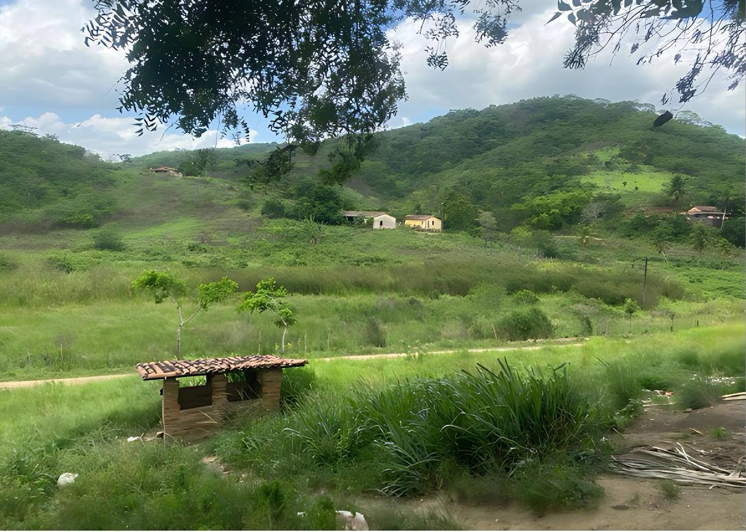 Fotografia de uma paisagem rural com áreas de vegetação nativa parcialmente desmatadas. Em primeiro plano, há uma pequena construção de madeira coberta com telhas e vegetação rasteira ao redor. Ao fundo, vê-se um caminho de terra, áreas de vegetação esparsa e algumas casas isoladas próximas a encostas verdes. O cenário mostra sinais de intervenção humana para moradia e possível plantação, caracterizando o desmatamento da vegetação nativa para uso do solo. Céu parcialmente nublado com algumas árvores no topo da imagem.