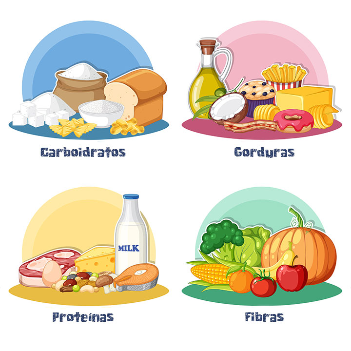 Figuras ilustrativas dos carboidratos, gorduras, proteínas e fibras. Em cima da palavra “Carboidratos” as figuras ilustrativas de um pão, açúcar, massas e arroz. Em cima da palavra “Proteínas” as figuras ilustrativas de leite, queijo, carne bovina, carne suína, grãos e ovo. Em cima da palavra “Fibras” as figuras ilustrativas de maçã, tomate, laranja, milho, abóbora, alface e brócolis. E por último em cima da palavra “Gordura” as figuras ilustrativas, de um vidro de azeite, coco, donuts, batata frita, muffin, manteiga e bacon.