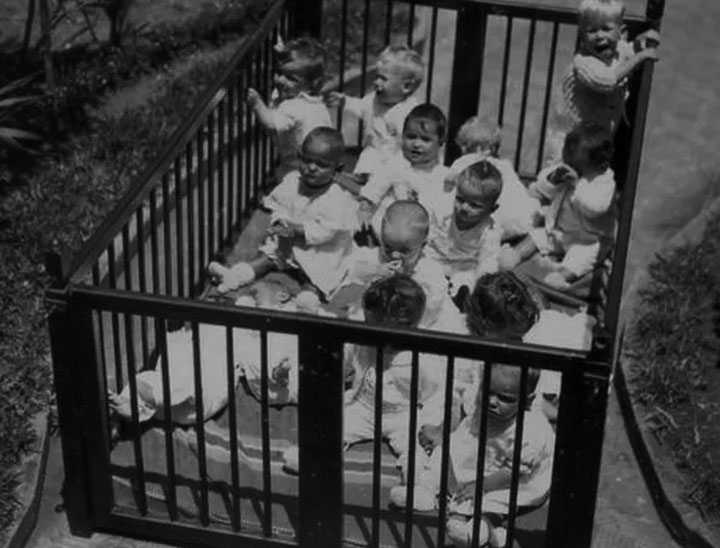 Fotografia em preto e branco de um berço infantil. No interior desse berço encontram-se doze bebês juntos, com roupas brancas, sentados. Alguns com face de choro.