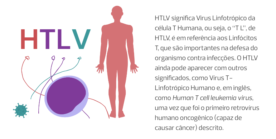 O que significa HTLV