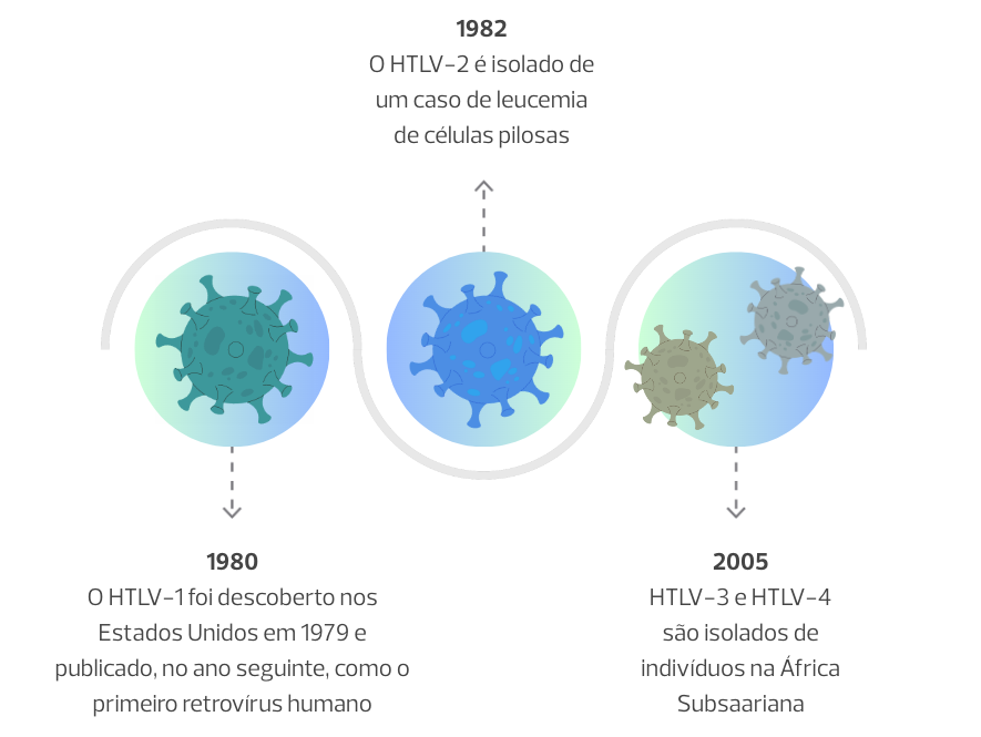 1980 O HTLV-1 foi descoberto nos Estados Unidos em 1979 e publicado, no ano seguinte, como o primeiro retrovírus humano. 1982 O HTLV-2 é isolado de um caso de leucemia de células pilosas. 2005 HTLV-3 e HTLV-4 são isolados de indivíduos na África Subsaariana