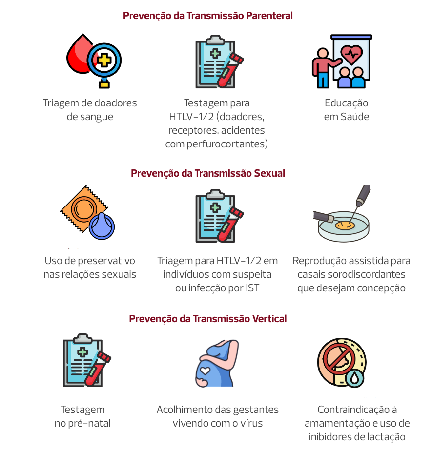 Imagem com as formas de transmissão do HTLV. São elas, a Prevenção da Transmissão Parenteral, que pode ser prevenico com a triagem de doadores de sangue; com testagem para HTLV-1/2 em caso de doadores, receptores, acidentes com perfurocortantes; e com Educação em Saúde.
                            A Prevenção da Transmissão Sexual pode ocorrer com o uso de preservativo nas relações sexuais; com a triagem para HTLV-1/2 em indivíduos com suspeita ou infecção por IST e com a reprodução assistida para casais sorodiscordantes que desejam concepção. Já a Prevenção da Transmissão Vertical pode ser feita com a testagem no pré-natal, o acolhimento das gestantes vivendo com o vírus e a contraindicação à amamentação e uso de inibidores de lactação.