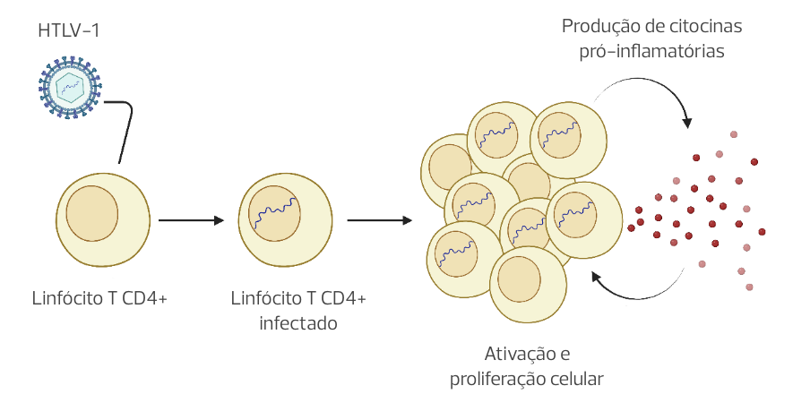 Imagem ilustrando as alterações imunológicas associdas à infecção pelo HTLV-1.