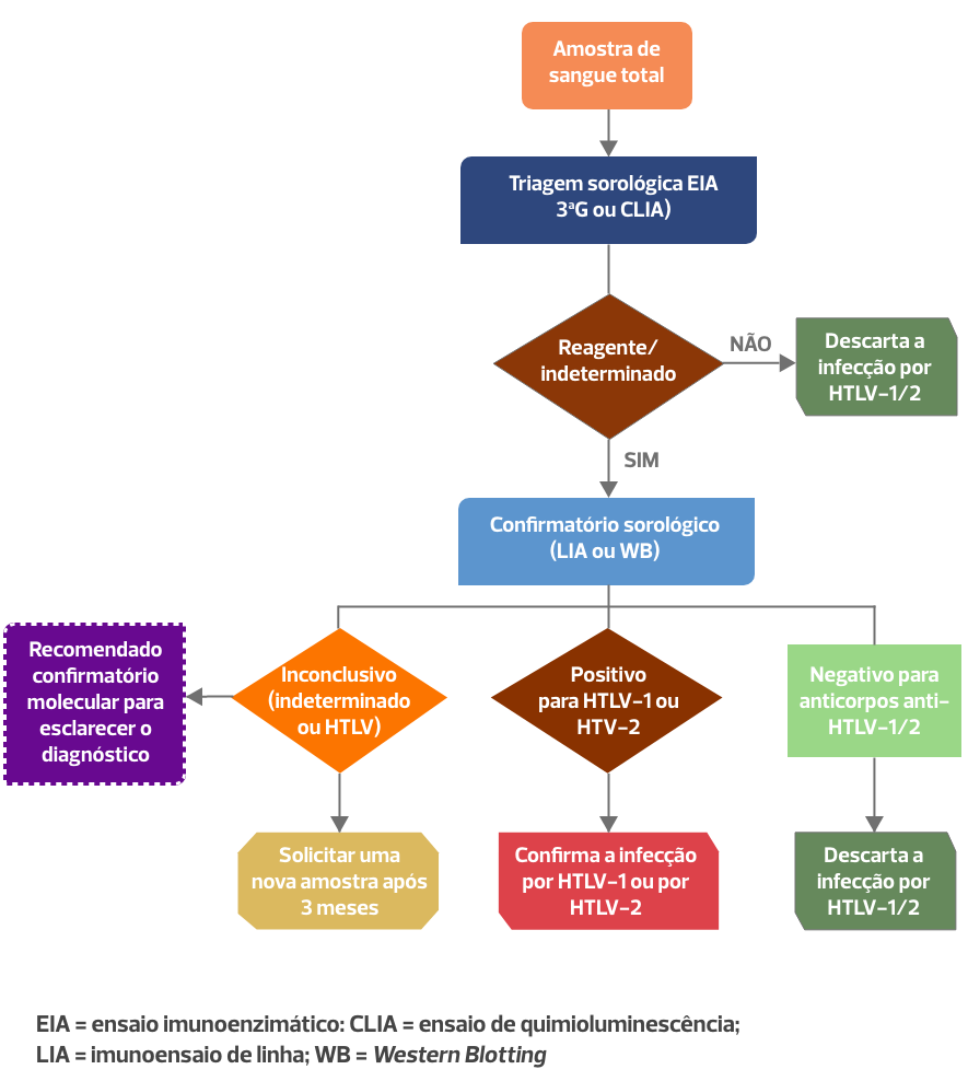 A imagem apresenta um fluxograma que ilustra o processo de testes de laboratório para  diagnóstico da infecção por HTLV-1 e HTLV-2 no Brasil, empregando testes confirmatórios sorológicos.