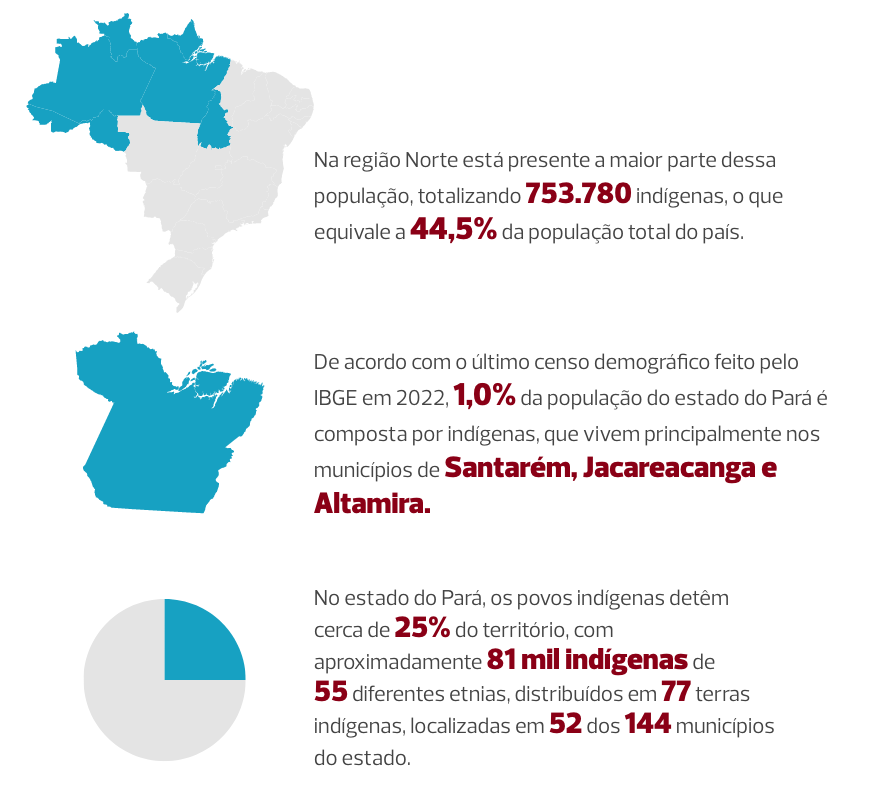 Imagem mostra o mapa do Brasil com destaque para a Região Norte. O texto da imagem diz: Na região Norte está presente a maior parte dessa população, totalizando 753.780 indígenas, o que equivale a 44,5% da população total do país. Na sequencia já uma imagem do estado do Pará, seguido do seguinte texto: De acordo com o último censo demográfico feito pelo IBGE em 2022, 1,0% da população do estado do Pará é composta por indigenas, que vivem principalmente nos municípios de Santarem, Jacareacanga e Altamira. A última imagem é um gráfico tipo pizza, com destaque para 25% da sua área, seguido do texto: No estado do Pará, os povos indígenas detêm cerca de 25% do território, com aproximadamente 81 mil indígenas de 55 diferentes etnias, distribuídos em 77 terras indígenas, localizadas em 52 dos 144 municípios do estado.