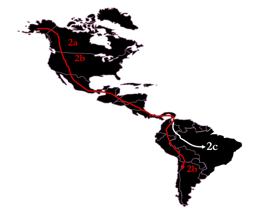 A imagem mostra um mapa das américas com setas representação do fluxo migratório dos ancestrais dos atuais povos indígenas das Américas e a distribuição espacial do HTLV-2 e seus subtipos.