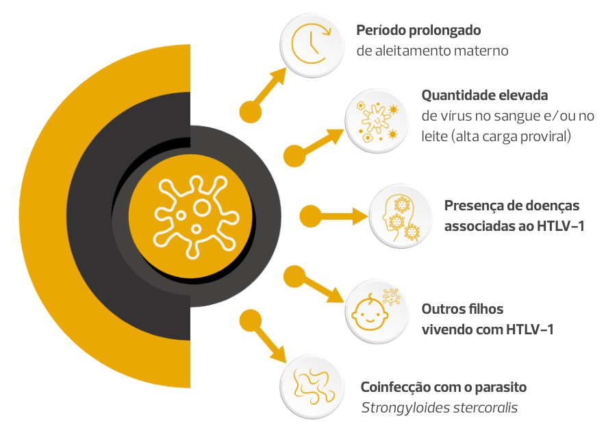 A imagem apresenta informações sobre fatores que aumentam o risco de transmissão vertical do HTLV-1. Ela é estruturada com um gráfico central e ícones ao redor, ilustrando os seguintes pontos: Período Prolongado de Aleitamento Materno; Quantidade Elevada da carga viral no sangue ou no leite materno; Presença de Doenças Associadas ao HTLV-1; Outros Filhos com HTLV-1; Coinfecção com Strongyloides stercoralis.