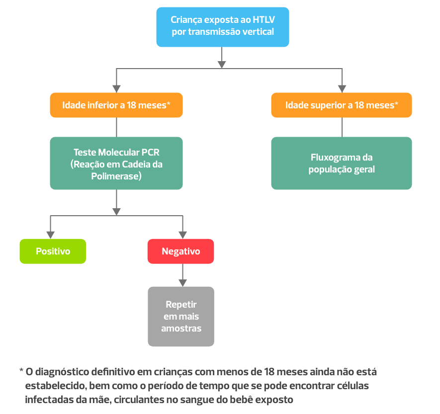 A imagem representa o fluxograma de diagnóstico em crianças expostas.