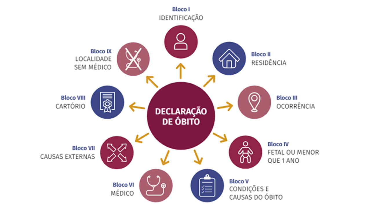 Fonte: Ministério da Saúde