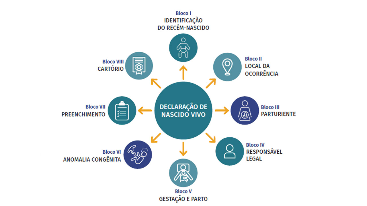 Fonte: Ministério da Saúde