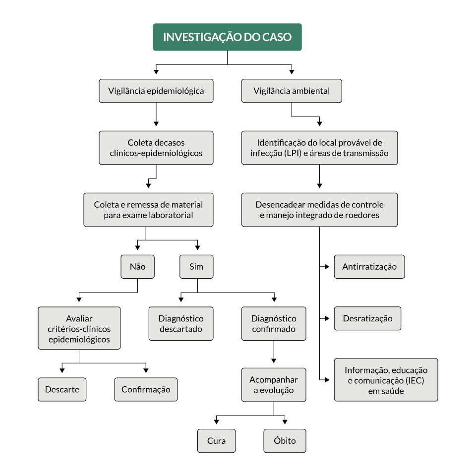 imagem com fluxo de caso suspeito de leptospirose