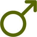 imagem simbolizando o sexo masculino