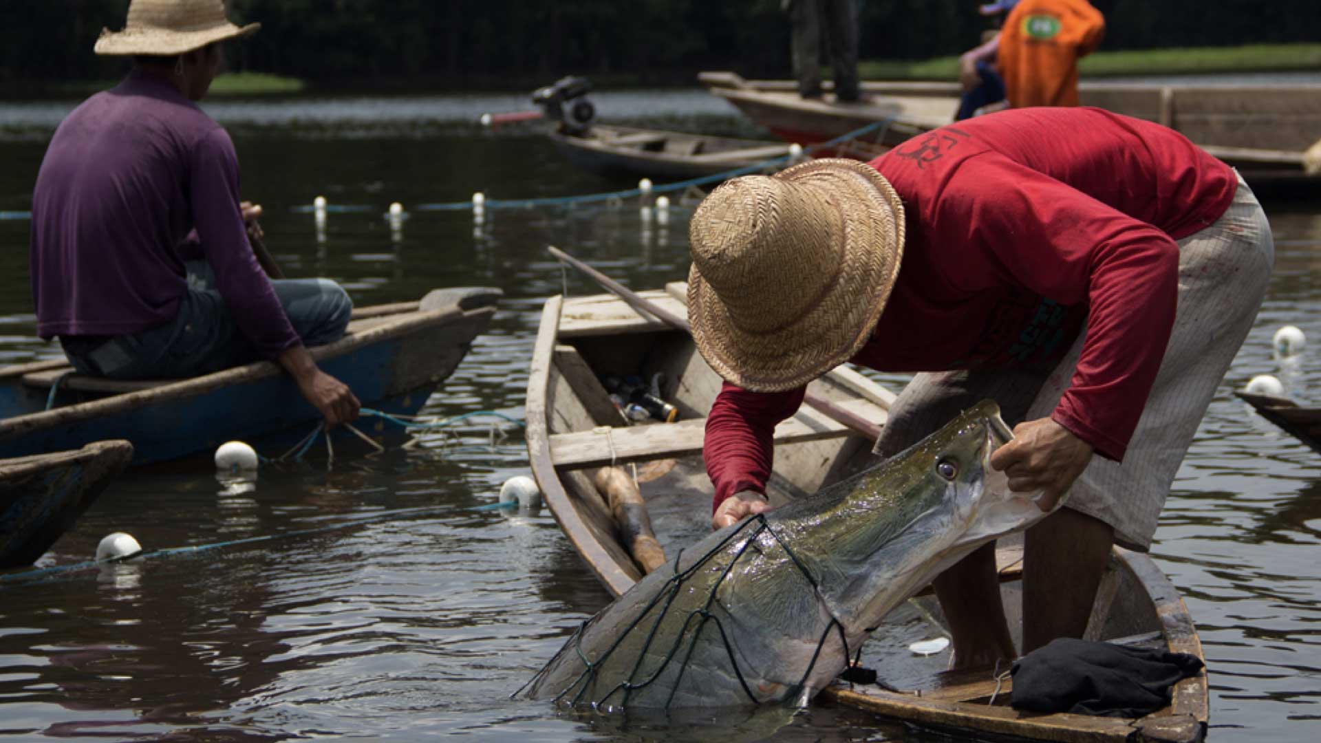 Fotografia de uma pessoa com blusa vermelha e chapéu de palha, ela está em pé em uma canoa e puxa uma rede que está dentro do rio, ao fundo há um homem sentado em uma canoa e outras duas canoas.