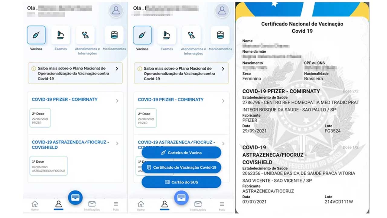 Captura de telas do sistema Conecte SUS, Certificado Nacional de Vacinação da Covid-19.