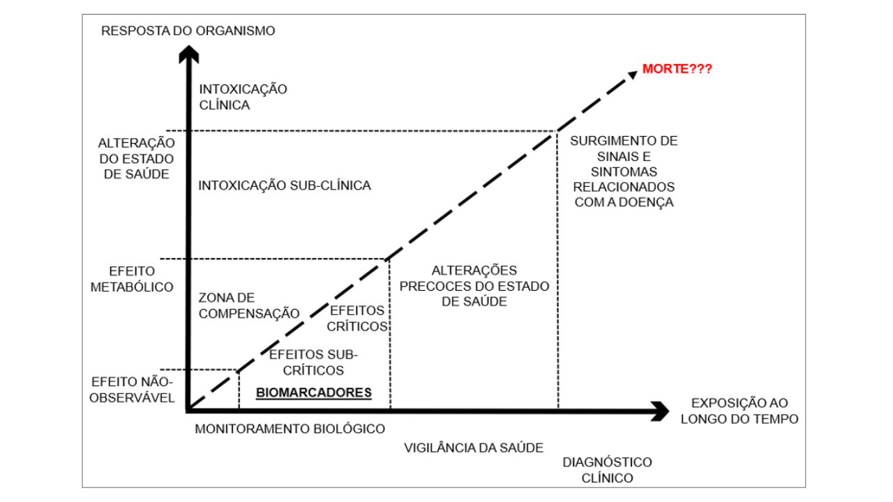 Figura 7 - Correlação entre os processos de MB, VS e DC com a resposta biológica.