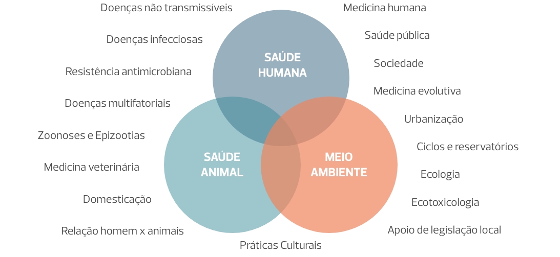 Infográfico