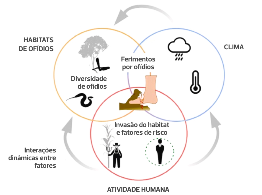 Componentes dos acidentes