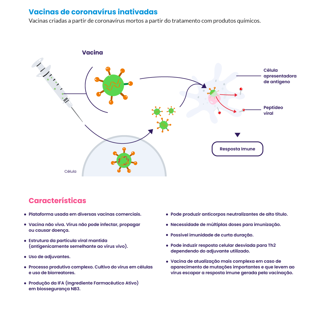 Infográfico Vacinas de coronavírus inativadas