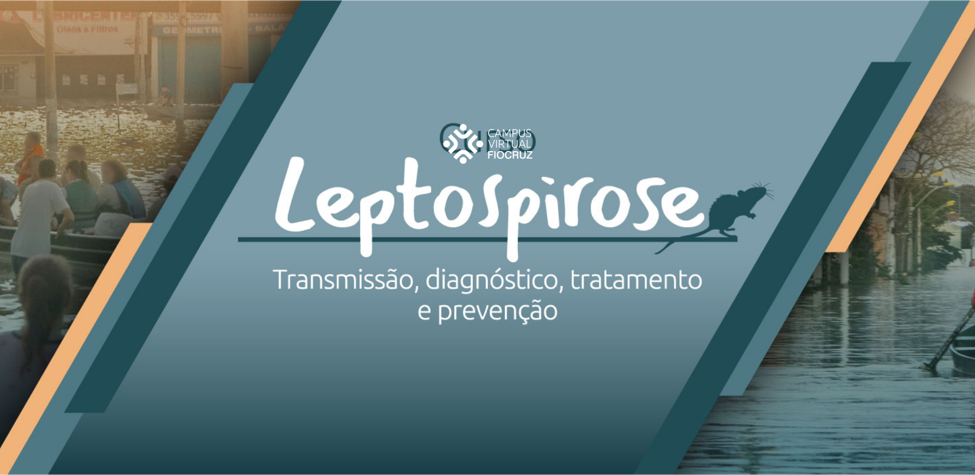 Leptospirose: transmissão, diagnóstico, tratamento e prevenção